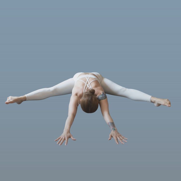 Fascial Flow and Deep Stretching | 10-Session Transformation Package