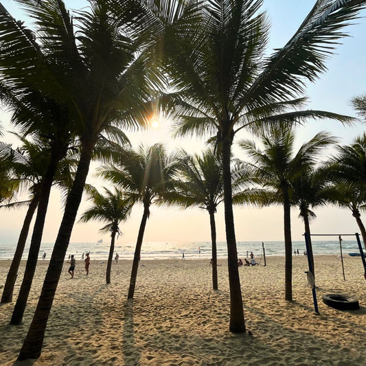 İşaretlerin Peşinde Bir Vietnam ve Da Nang Yolculuğu