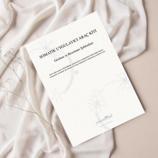  Somatic Practitioner Toolkit | Observation and Resonance Templates
