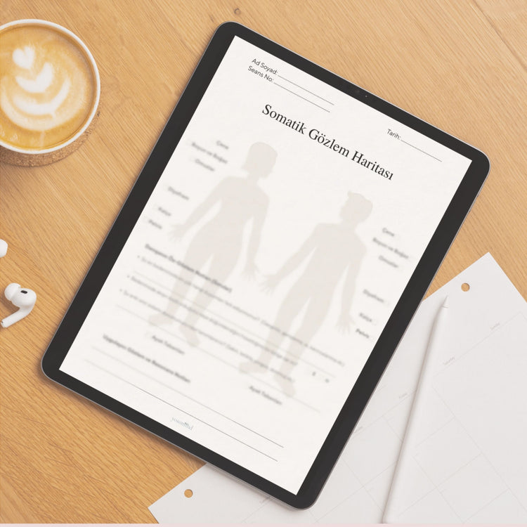  Somatic Practitioner Toolkit | Observation and Resonance Templates
