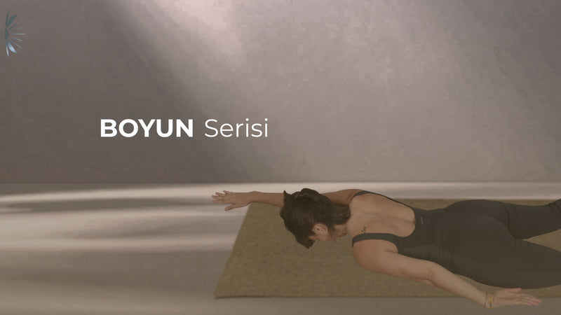 İyileştirici ve Dönüştürücü