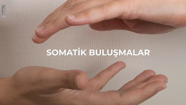 Somatik Grup Seansları
