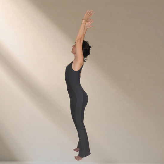 Bilgiyi Bedene İndir